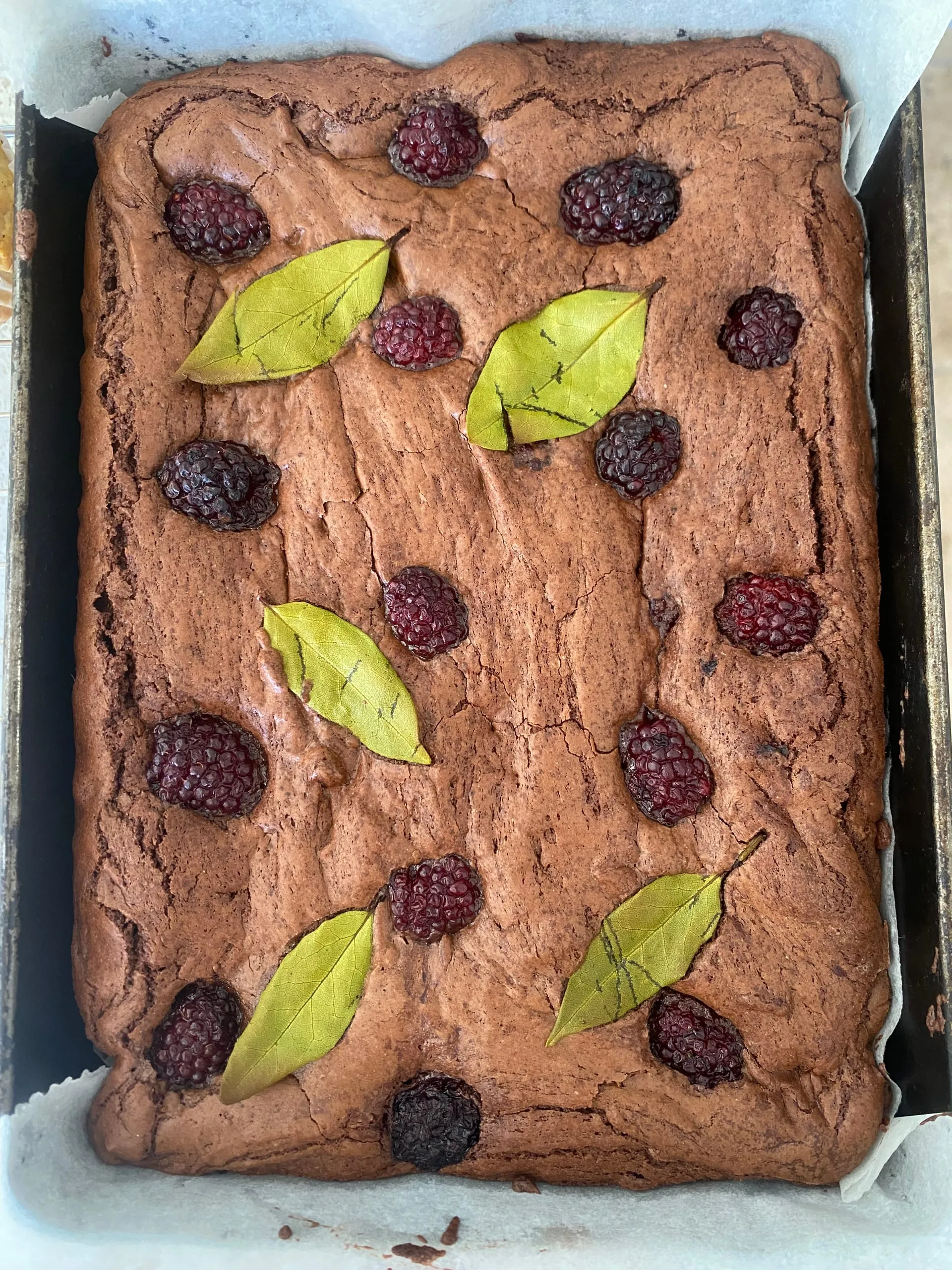 Un gâteau au chocolat cuit avec des mûres et des feuilles de laurier déposées dessus