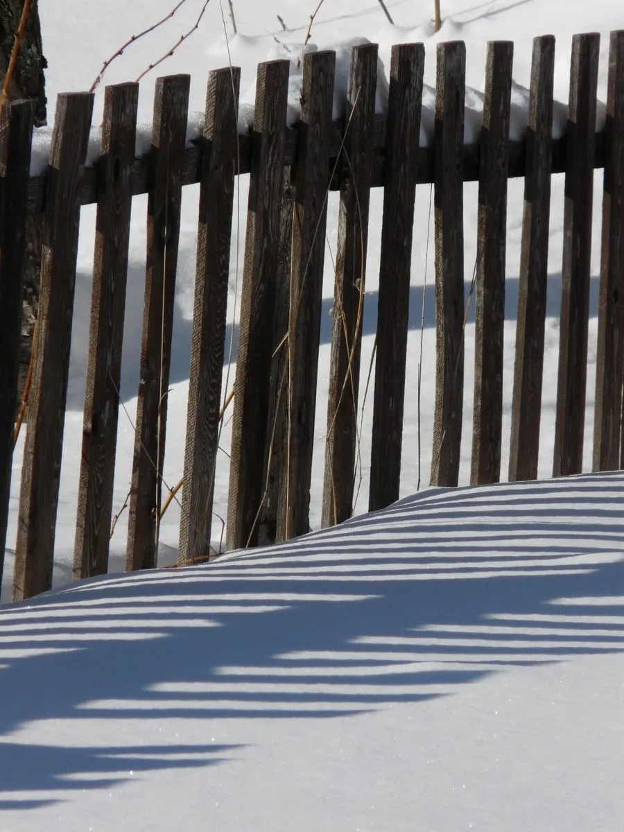 Une clôture à moitié ensevelie sous la neige