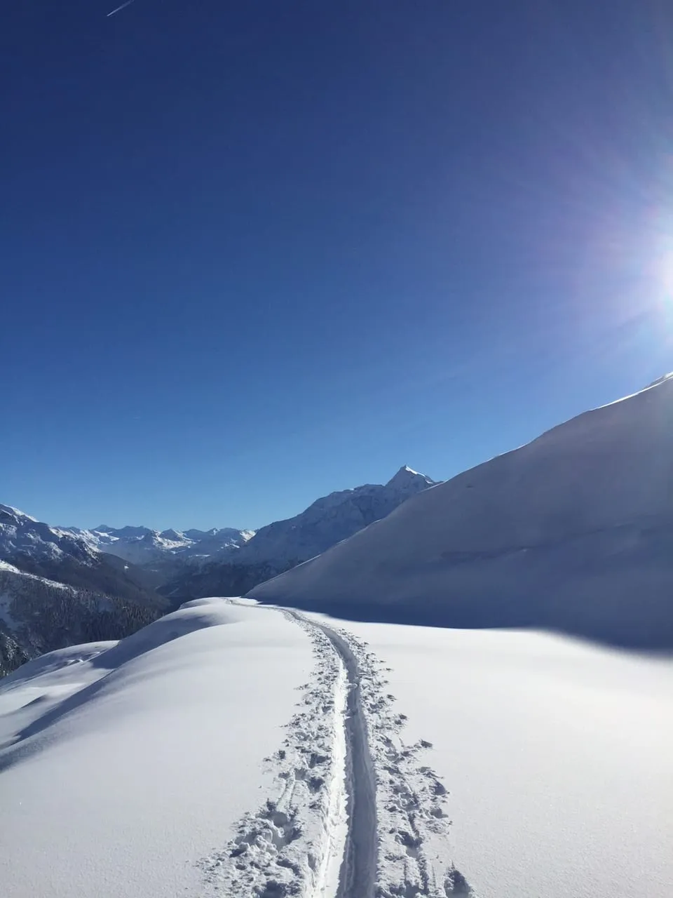 Une trace de ski unique dans la poudreuse fraîche