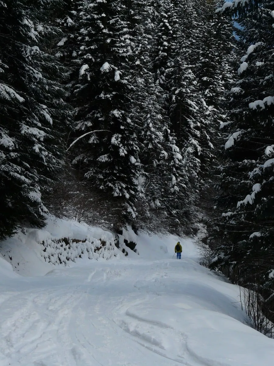 Skiing a narrow track down through the trees