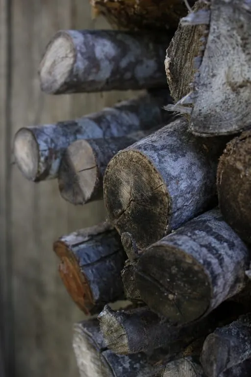 Une pile de bûches pour la cheminée
